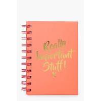 Important Stuff Spiral Notebook - coral
