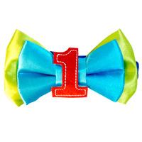 I\'m One Rainbow Bow Tie