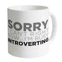 I\'m Busy Introverting Mug