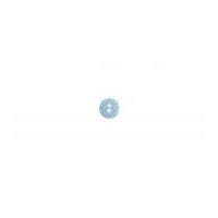Impex Round Spotty Coloured Buttons Light Blue & White