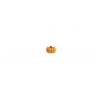 Impex Novelty Pumpkin Shape Buttons Orange