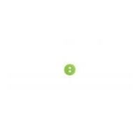 impex round spotty coloured buttons green white