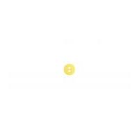 impex round spotty coloured buttons yellow white