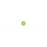 impex round spotty coloured buttons green white