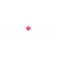 impex transparent flower shaped buttons red