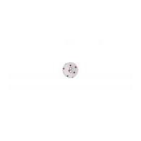 Impex Spotty Fabric Covered Round Buttons White & Red