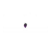 Impex Novelty Grapes Shape Buttons Purple