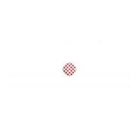 impex round spotty coloured buttons white red