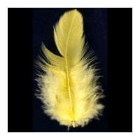 Impex Hen Craft Feathers Yellow