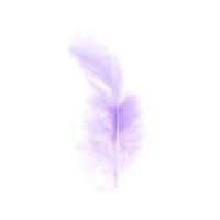 impex hen craft feathers lilac