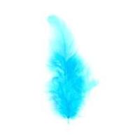 impex hen craft feathers turquoise