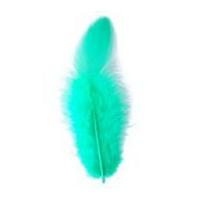 Impex Hen Craft Feathers Green
