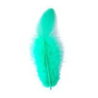 impex hen craft feathers green