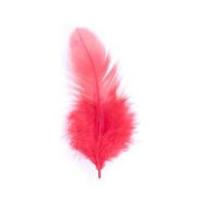 Impex Hen Craft Feathers Red
