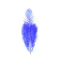 impex hen craft feathers purple