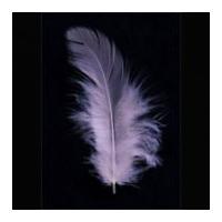 Impex Hen Craft Feathers Pink