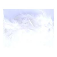 Impex Feather Boa 1.8m White