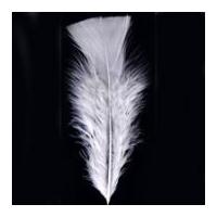 impex turkey craft feathers 17cm white