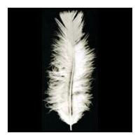 Impex Turkey Craft Feathers 17cm Cream