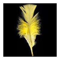 Impex Turkey Craft Feathers 17cm Yellow