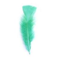 Impex Turkey Craft Feathers 17cm Green