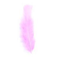 Impex Turkey Craft Feathers 17cm Cerise