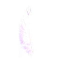 Impex Turkey Craft Feathers 17cm Pink