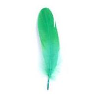 impex goose craft feathers 19cm green