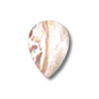 Impex Deluxe Drop Shell Beads White