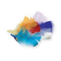 impex assorted craft feathers assorted