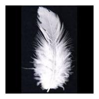 Impex Hen Craft Feathers White