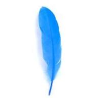 impex goose craft feathers 19cm royal blue