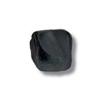 Impex Deluxe Polished Shell Beads Black