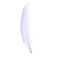 impex goose craft feathers 19cm lilac