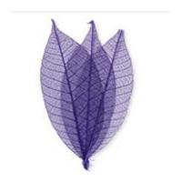 Impex Skeleton Leaves Purple