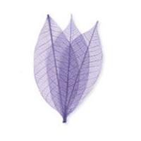 Impex Skeleton Leaves Lilac