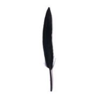 impex duck craft feathers 10cm black