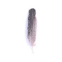 impex duck craft feathers natural colours