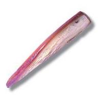 impex deluxe long thin shell beads salmon