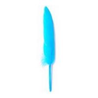 impex duck craft feathers 10cm turquoise