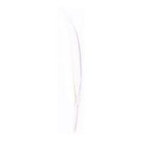 impex duck craft feathers 10cm white