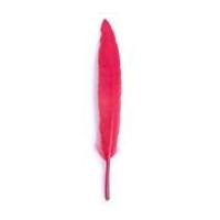 impex duck craft feathers 10cm red