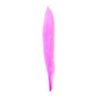 Impex Duck Craft Feathers 10cm Cerise