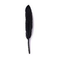 Impex Duck Craft Feathers With Glitter 14cm Black