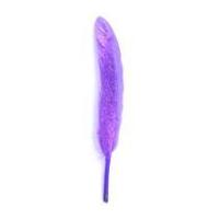 Impex Duck Craft Feathers With Glitter 14cm Purple