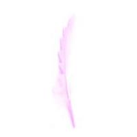 Impex Shaped Craft Feathers With Glitter Pale Pink