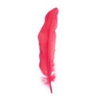 impex goose craft feathers 19cm red