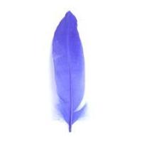 impex goose craft feathers 19cm purple