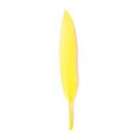 Impex Duck Craft Feathers 10cm Yellow