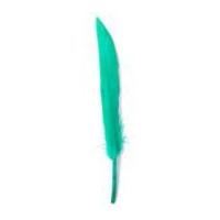 Impex Duck Craft Feathers 10cm Green